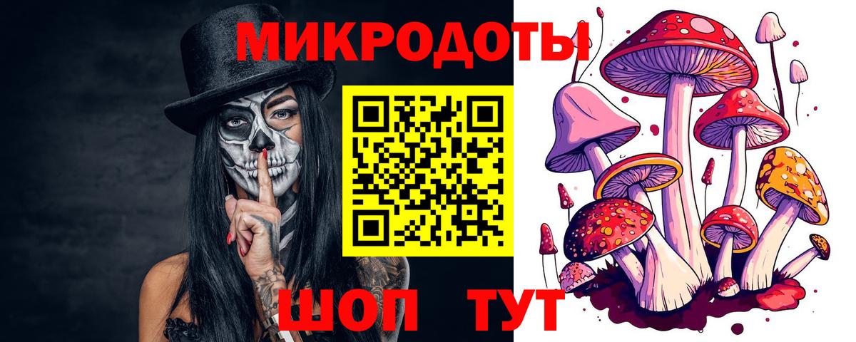 Лесной  Псилоцибиновые грибы мицелий  Галлюциногенные грибы Cubensis  Вход с VPN 